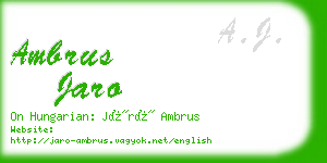 ambrus jaro business card